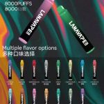 LANA8000口大容量拋棄式、一次性電子煙