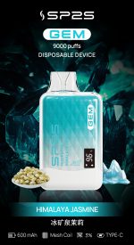 SP2S思博瑞9000口一次性拋棄式電子煙、15種口味任意挑選：圖片 4