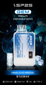 SP2S思博瑞9000口一次性拋棄式電子煙、15種口味任意挑選：圖片 15