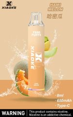 Xiaoke枭客7500口一次性抛弃式電子煙、新款上市25种口味吸入时亮彩色跑马灯：圖片 5