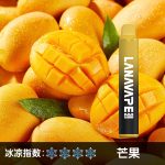 LANA8000口大容量拋棄式、一次性電子煙：圖片 3