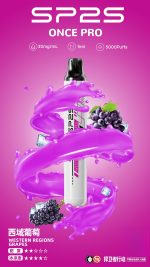 SP2S 5000口抛棄式/一次性電子煙新品上市十二種口味任意挑選：圖片 13